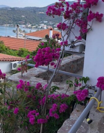 Veranda Blue - Poros Poros Town Exterior photo